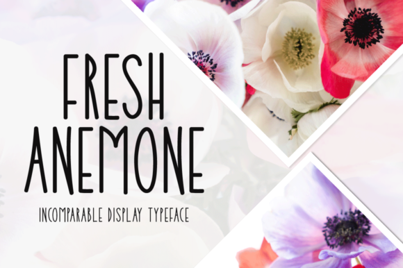 Fresh Anemone: A Joyful Display Font for Small Business Branding