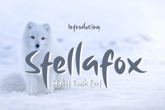 Stellafox: A Stylish Display Font for Handmade Labels & Printables